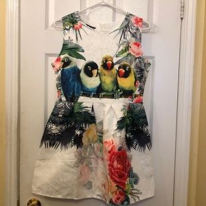 White mini dress with birds